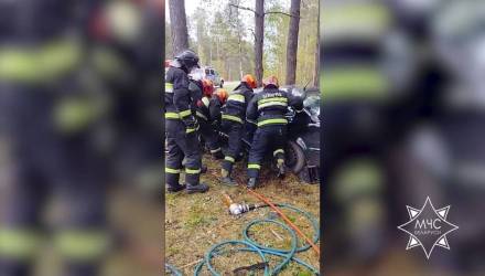 ДТП в Ветковском районе: МЧС спасли водителя