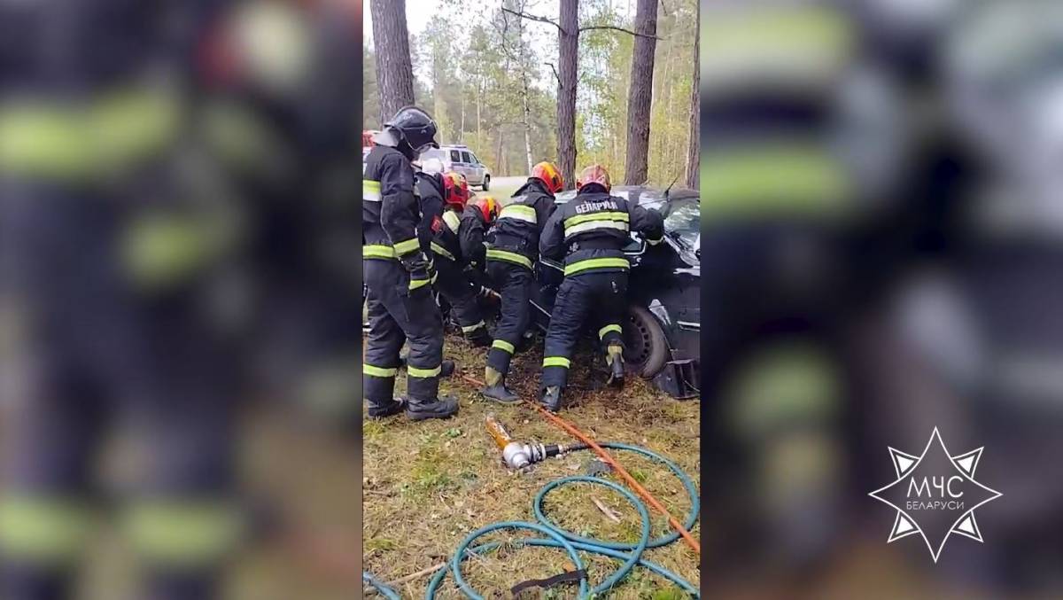 ДТП в Ветковском районе: МЧС спасли водителя