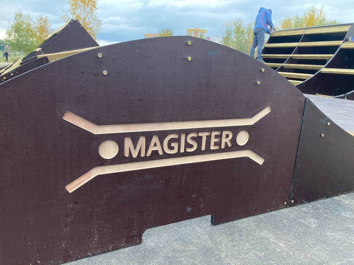 Работы выполняет команда «Magister»