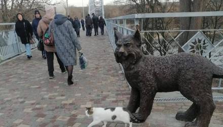 Рысь — главный символ Гомеля, украшающий городской герб.