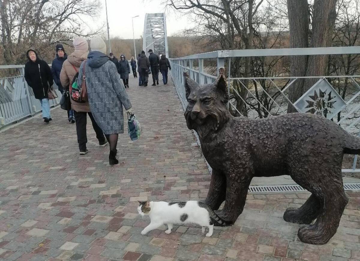 Рысь — главный символ Гомеля, украшающий городской герб.