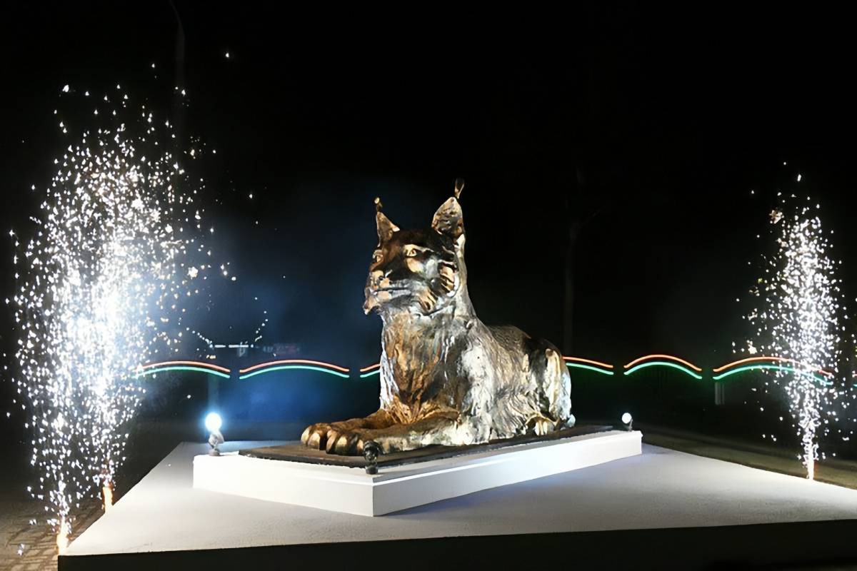 🐾 Рысь — символ Гомеля и одна из самых редких хищниц страны