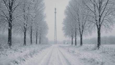 Связь для абонентов А1 стала лучше в Гомельской области: завершен новый этап расширения 4G-сети