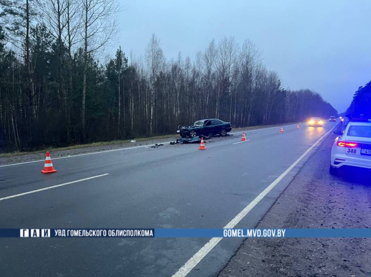 На дорогах Гомельщины за сутки пострадали водитель и пешеход