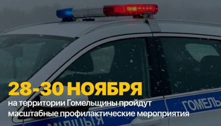 ГАИ объявила рейды на Гомельщине с 28 по 30 ноября: что будут проверять