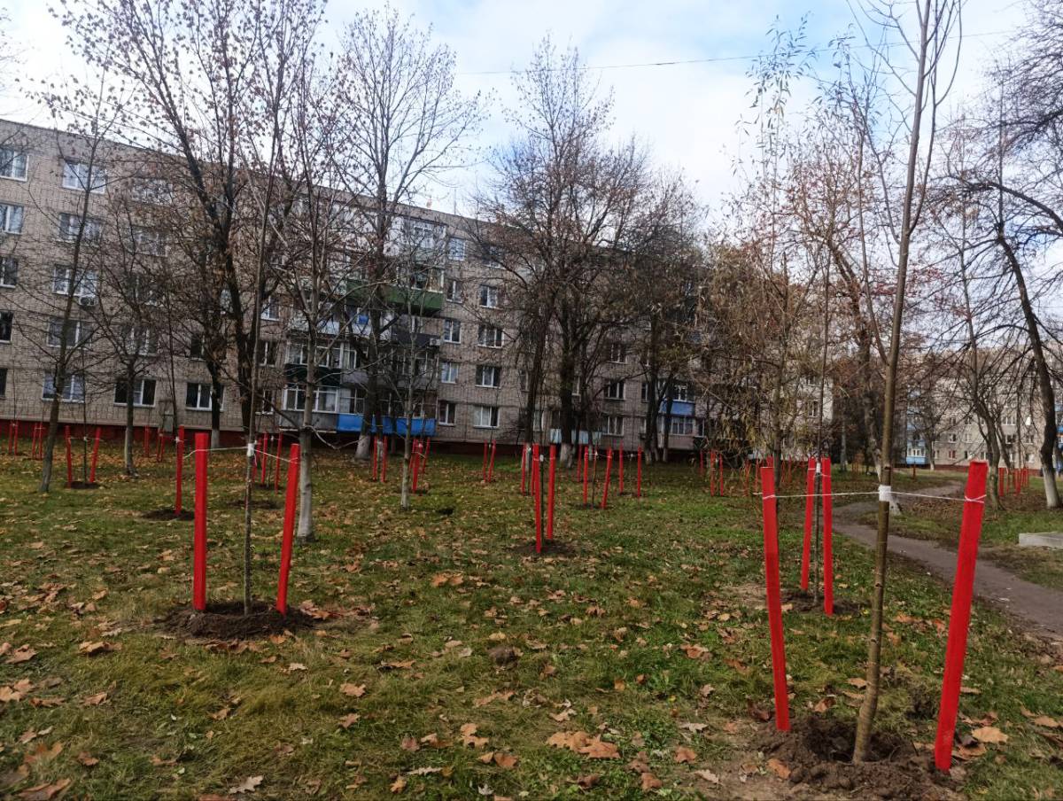 Где отдохнуть в Гомеле, Гомель экология