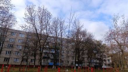 Зеленые зоны в Гомеле, Гомель благоустройство, Гомель экология