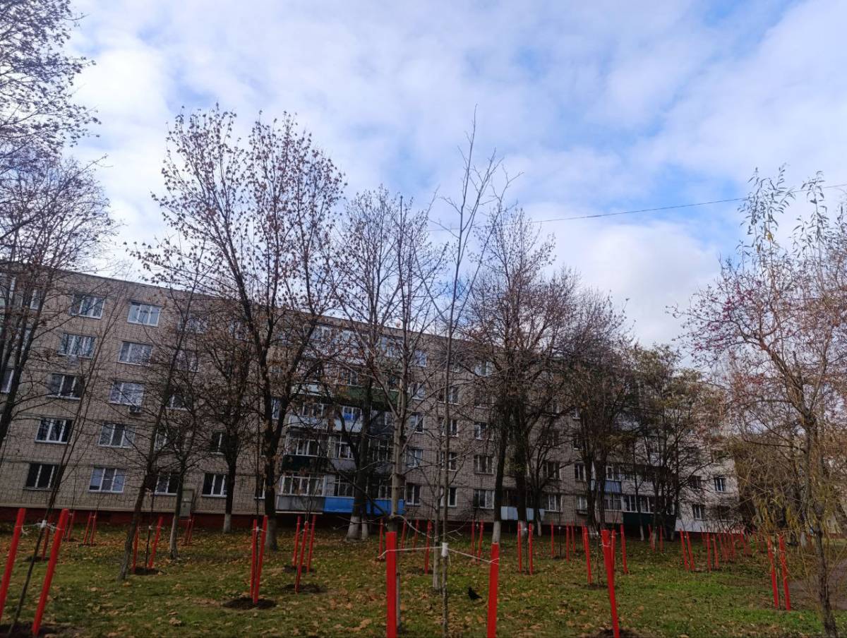 Зеленые зоны в Гомеле, Гомель благоустройство, Гомель экология
