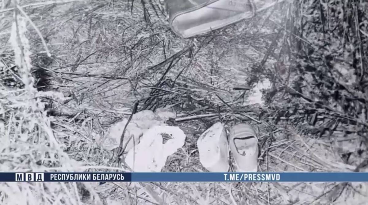 На Гомельщине раскрыто убийство 9-летней девочки, совершённое в 1991 году