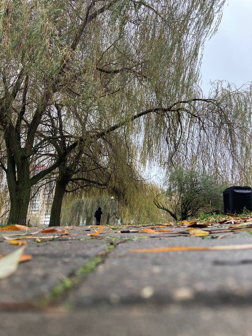 Гомель - Город, который умеет быть спокойным