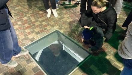 смотровое окно на мосту в гомеле