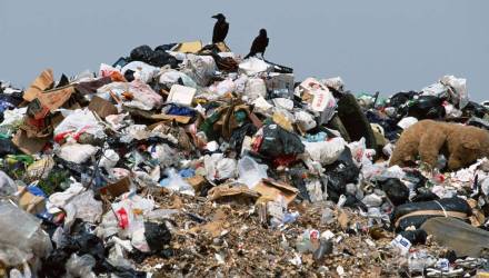 Убрать мусор, ЖКХ Гомель, телефоны ЖЭУ Гомеля