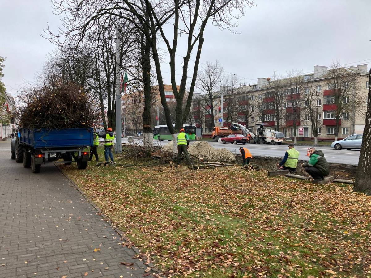 все деревья будут сохранены, весной проведут только сезонную обрезку для безопасности пешеходов
