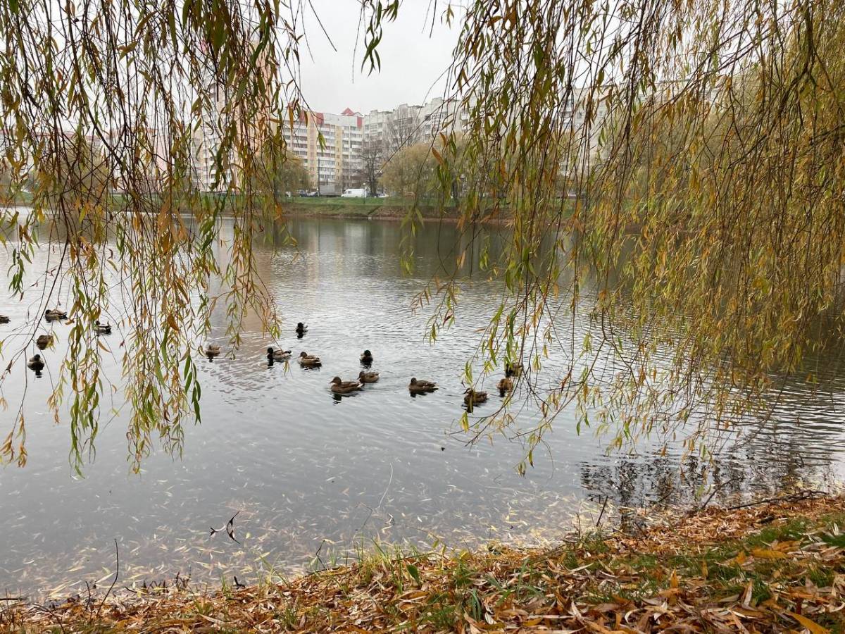 Осень в Гомеле, городские жители с крыльями