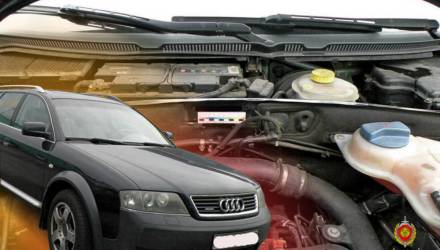 В Гомеле эксперты раскрыли автомобиль-двойник: VIN выдал подмену