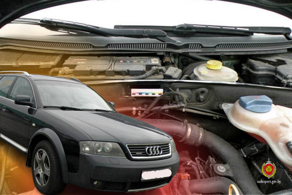 В Гомеле эксперты раскрыли автомобиль-двойник: VIN выдал подмену