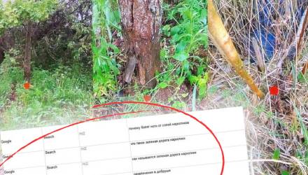 1 кг психотропов: в Гомеле задержана пара, решившая подзаработать