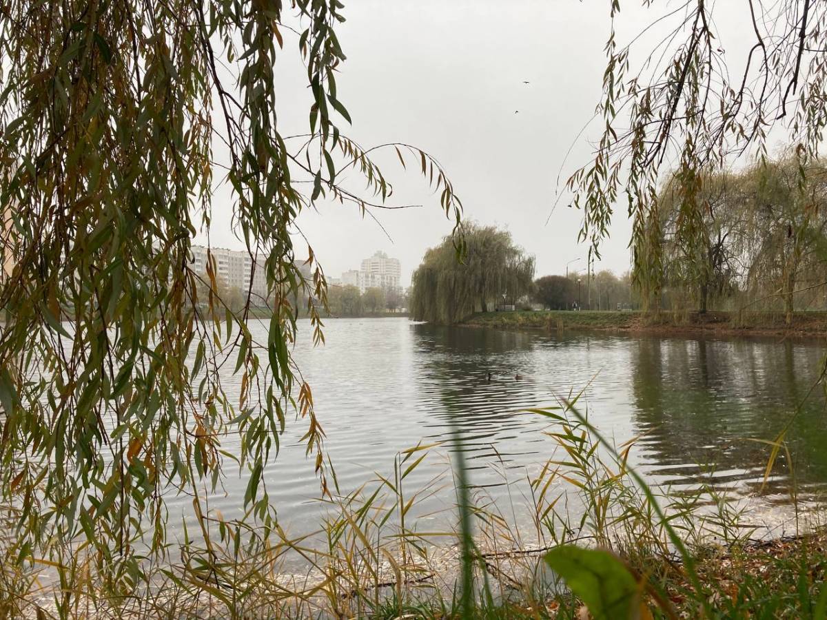 Осень в Гомеле: туманное утро