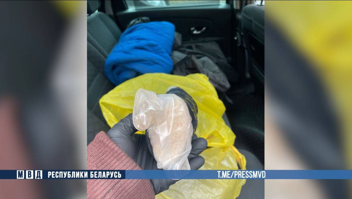 Оперативники перекрыли крупный наркоканал в Гомельской области