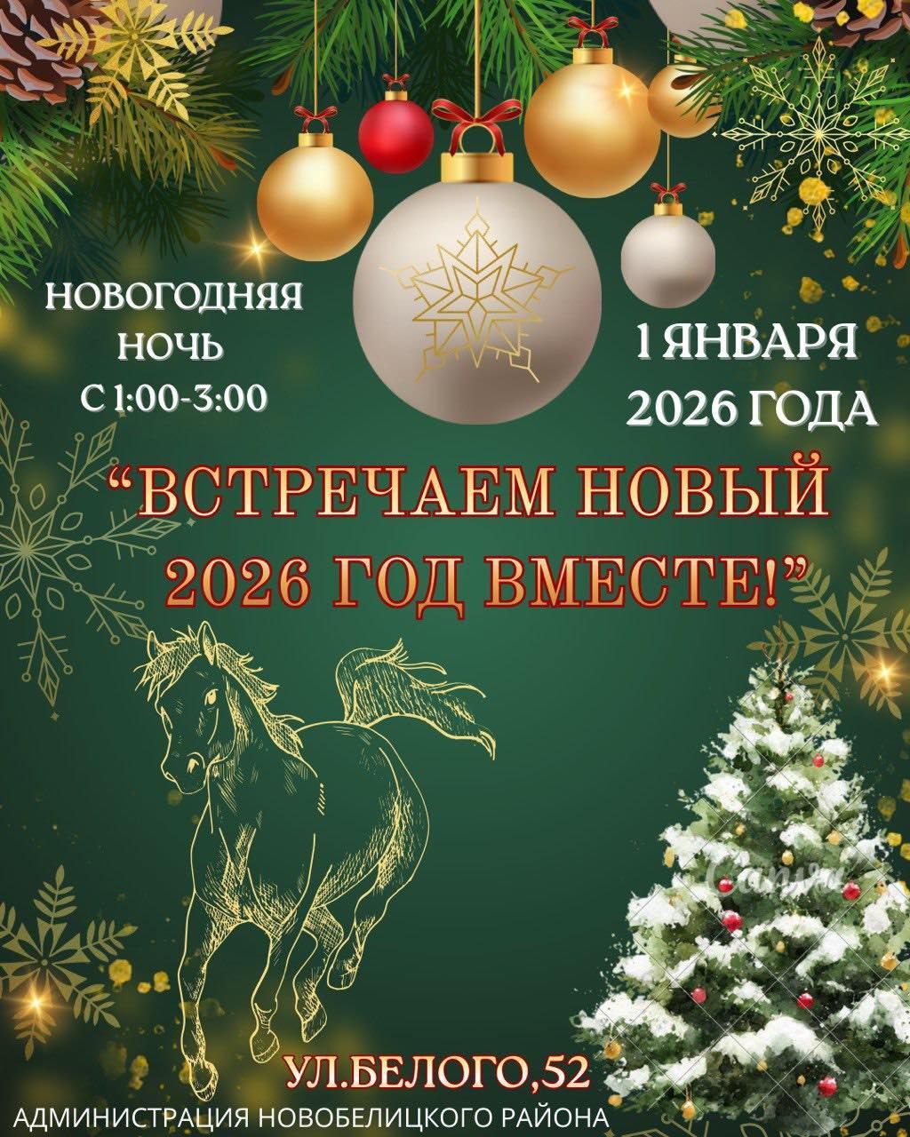В Новобелицком районе на улице Белого, 52 гуляния начнутся с 1:00 и продлятся до 3:00.