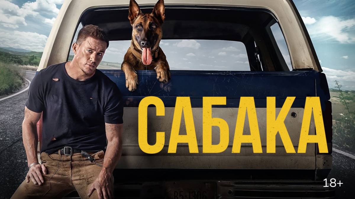 «Сабака» (Dog, 2021)