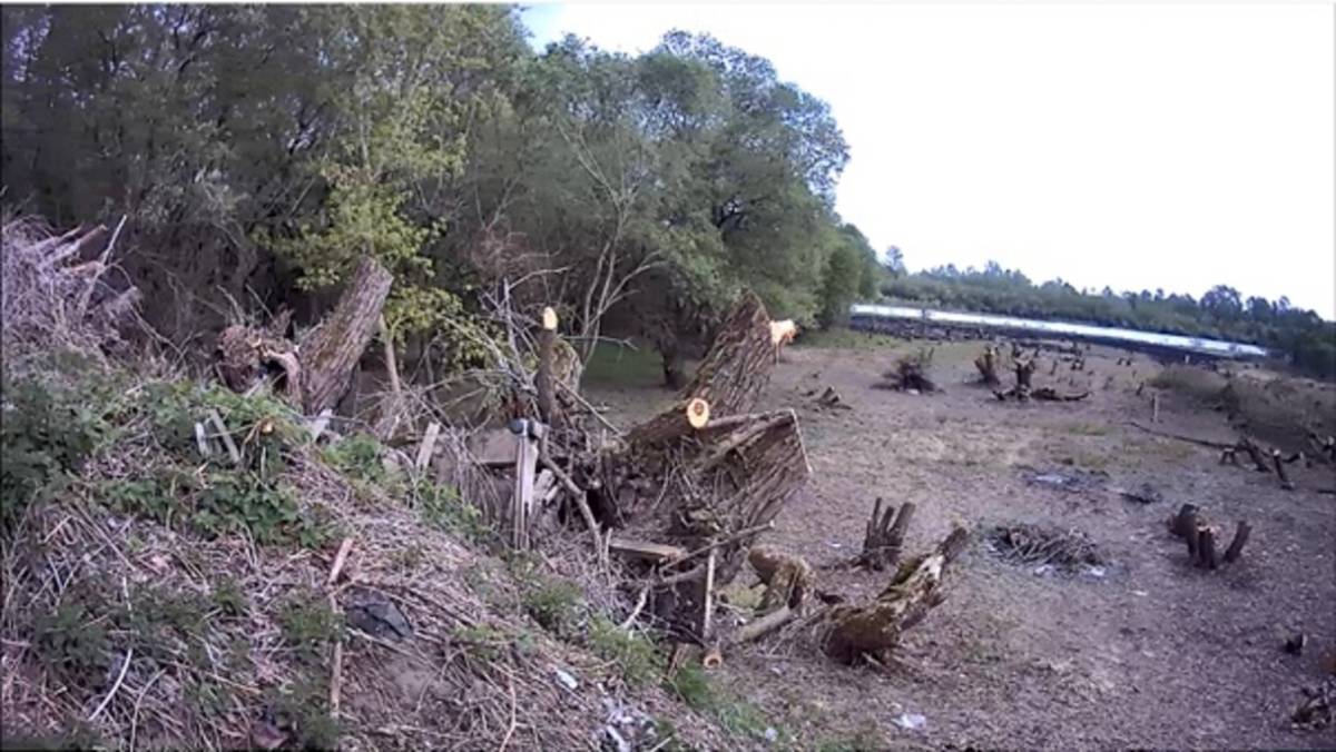 «Окультуривание» за пределами участка