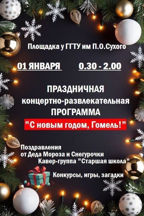 На площадке возле ГГТУ имени П.О. Сухого с 00:30 до 2:00 гостей ждут Дед Мороз, Снегурочка