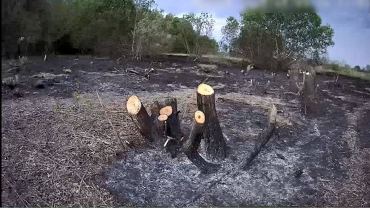 Как установило следствие, данный участок относился к землям общего пользования и находился в ведении СУП «Михайловское-агро».