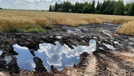 В Калинковичах удобрения размыли дожди: ущерб и проверки