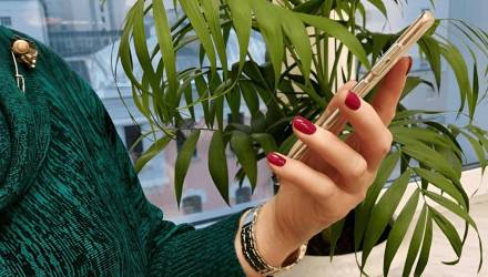 В Гомеле раскрыли телефонное мошенничество: деньги возили в Москву