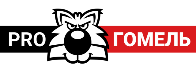 PRO Гомель | Новости Гомеля — происшествия, события, репортажи