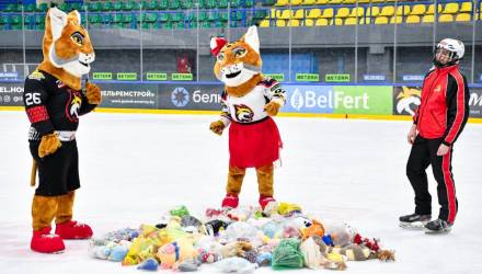 «Игрушкопад» и хоккей: в Гомеле пройдет благотворительный матч с «Юностью»