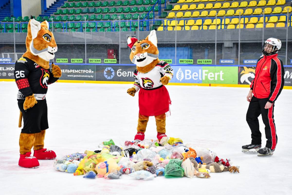 «Игрушкопад» и хоккей: в Гомеле пройдет благотворительный матч с «Юностью»