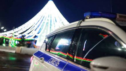 В Гомеле перекроют центр из-за акции «Зажигаем ёлку вместе»