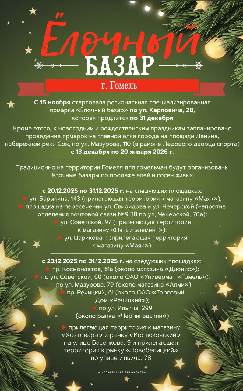 Ёлочные базары: более 90 точек по всему городу