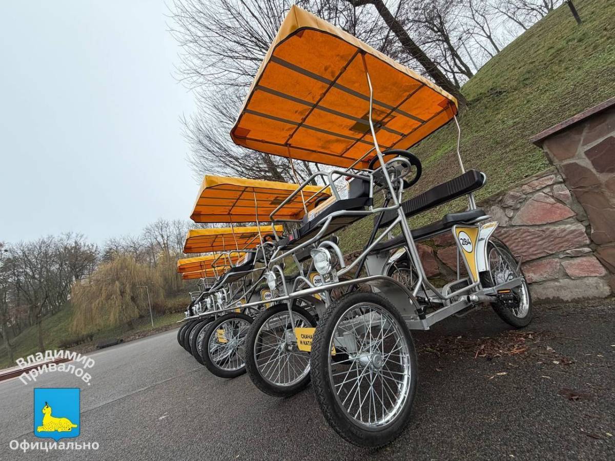 Новый сервис проката карет «Карета ТЭЧ» появился в городском парке