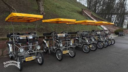 Новый сервис проката карет «Карета ТЭЧ» появился в городском парке