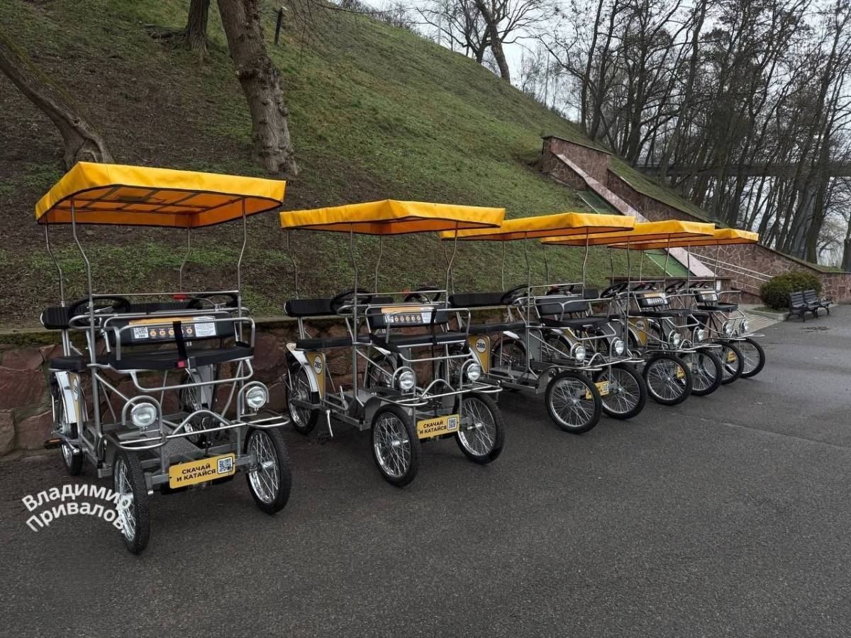 Новый сервис проката карет «Карета ТЭЧ» появился в городском парке