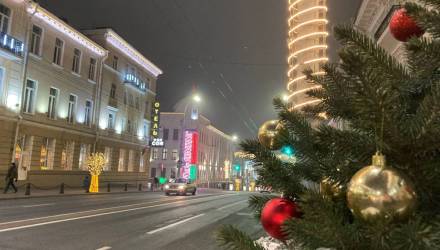 Кто не успел купить ёлку в Гомеле: адреса ёлочных базаров 2025