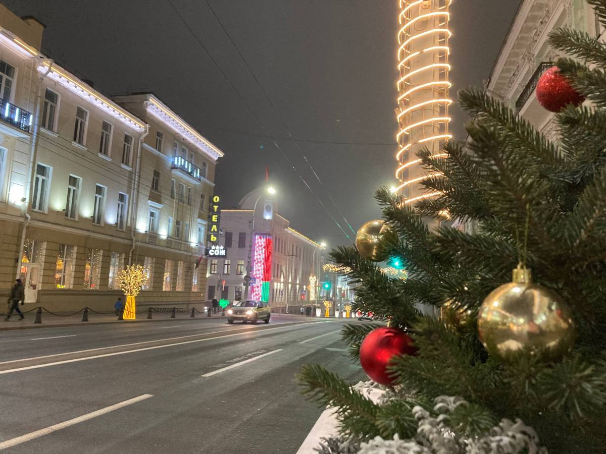 Кто не успел купить ёлку в Гомеле: адреса ёлочных базаров 2025