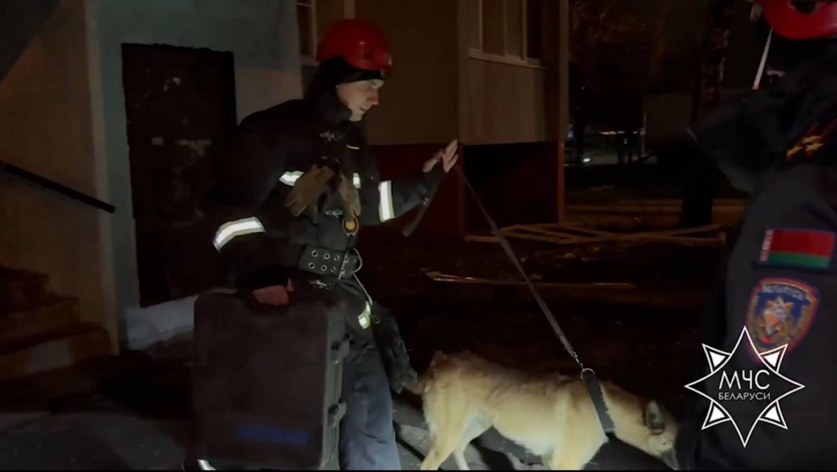 Поисковые работы: итоги ночной операции