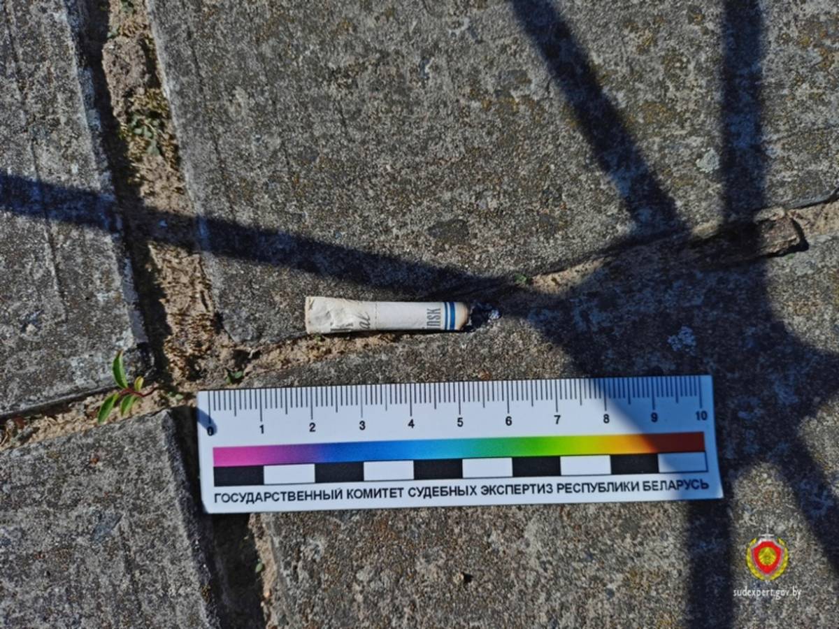 В Добруше вандала вычислили по окурку, брошенному на могиле