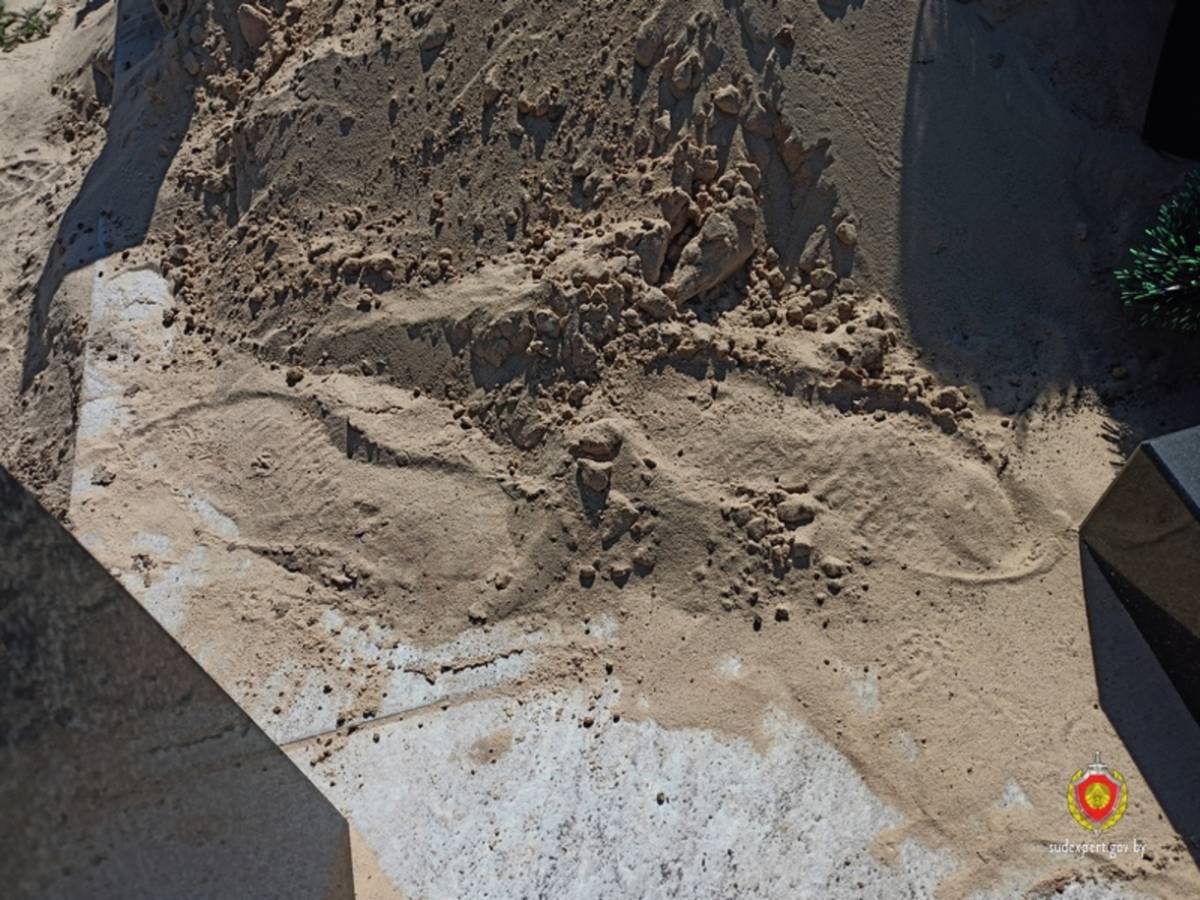 Специалисты провели биолого-генетическую экспертизу и извлекли с окурка ДНК