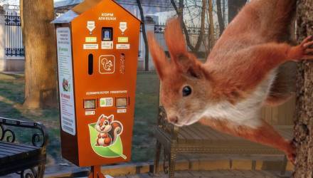 Белки и птицы в Гомеле будут сыты: в парке вводят новинку