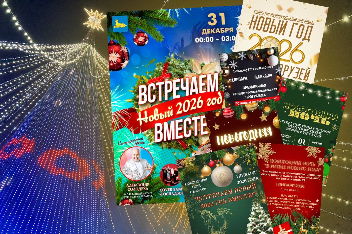 Где встретить Новый год в Гомеле: праздничные площадки города