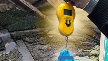 В Калинковичах задержан мужчина с 17 кг каннабиса