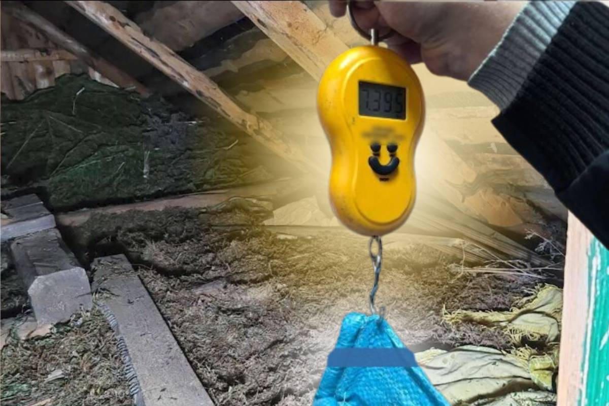 В Калинковичах задержан мужчина с 17 кг каннабиса