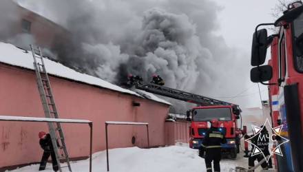 В Гомеле ликвидировали пожар на предприятии по улице Советской