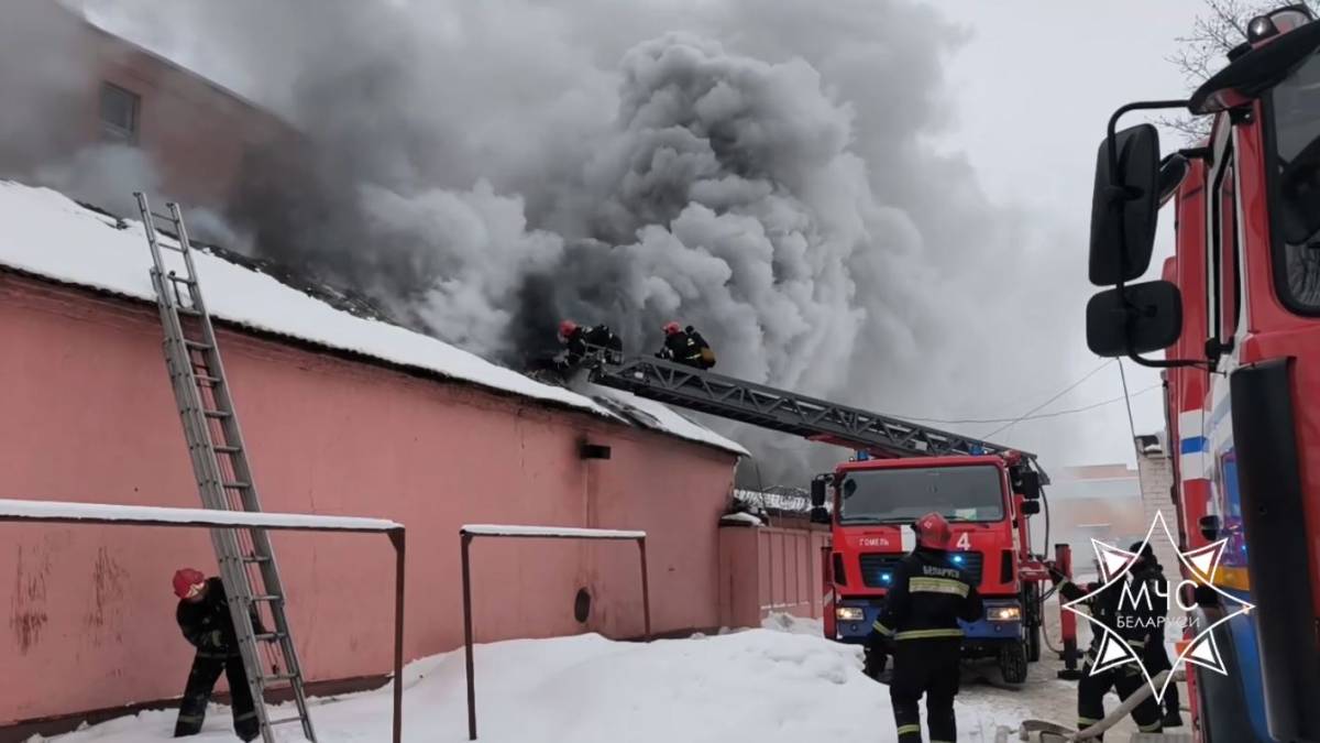 В Гомеле ликвидировали пожар на предприятии по улице Советской