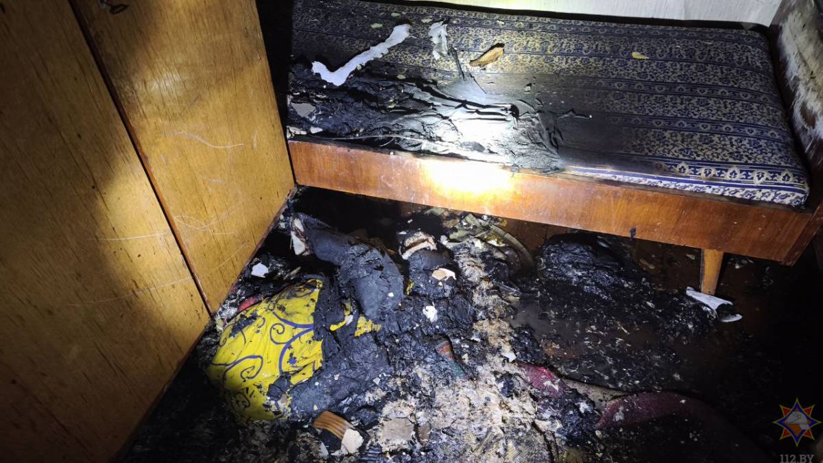 Прибывшие подразделения МЧС обнаружили хозяина в комнате на диване